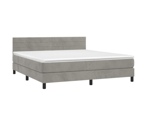 Cama box spring con colchón terciopelo gris claro 160x200 cm