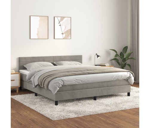 Cama box spring con colchón terciopelo gris claro 160x200 cm