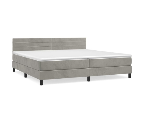 Cama box spring con colchón terciopelo gris claro 200x200 cm