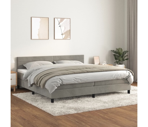 Cama box spring con colchón terciopelo gris claro 200x200 cm