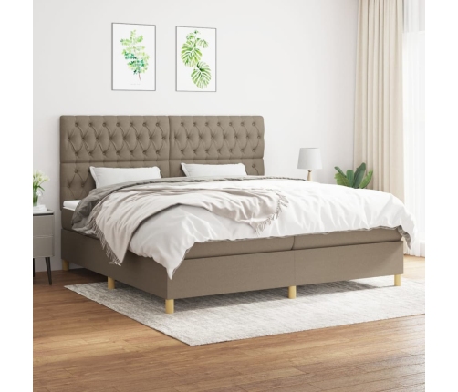 Cama box spring con colchón tela gris taupe 200x200 cm