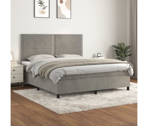 Cama box spring con colchón terciopelo gris claro 180x200 cm