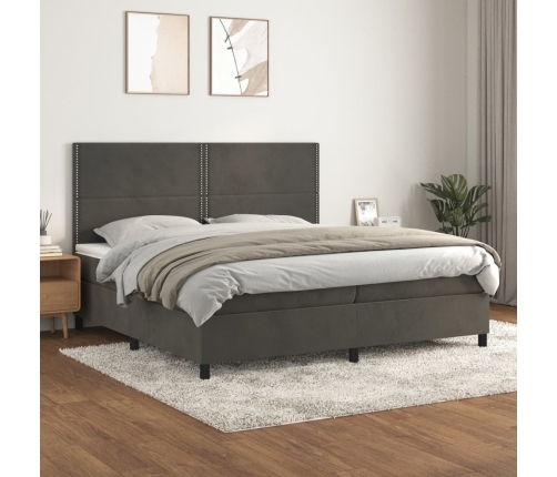 Cama box spring con colchón terciopelo gris oscuro 200x200 cm