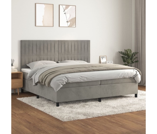 Cama box spring con colchón terciopelo gris claro 200x200 cm