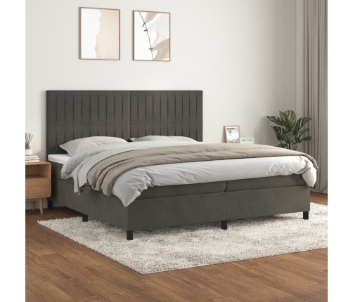 Cama box spring con colchón terciopelo gris oscuro 200x200 cm