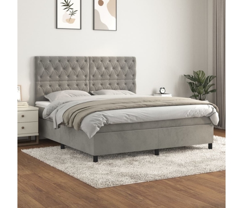 Cama box spring con colchón terciopelo gris claro 160x200 cm