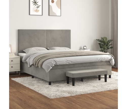 Cama box spring con colchón terciopelo gris claro 160x200 cm