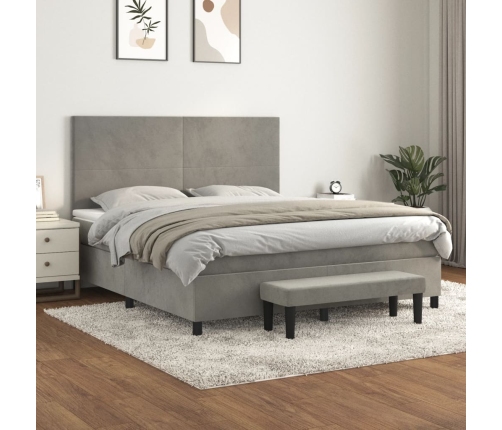 Cama box spring con colchón terciopelo gris claro 180x200 cm