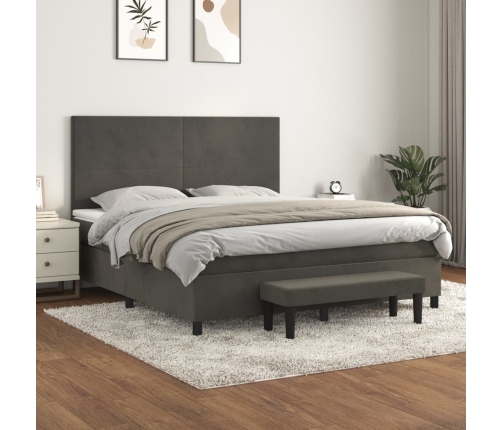 Cama box spring con colchón terciopelo gris oscuro 180x200 cm