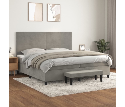 Cama box spring con colchón terciopelo gris claro 200x200 cm