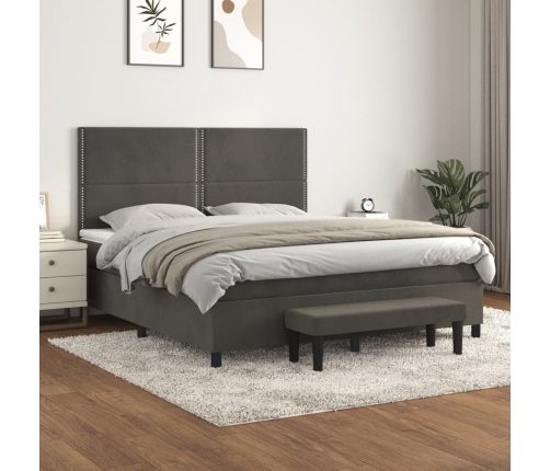 Cama box spring con colchón terciopelo gris oscuro 160x200 cm