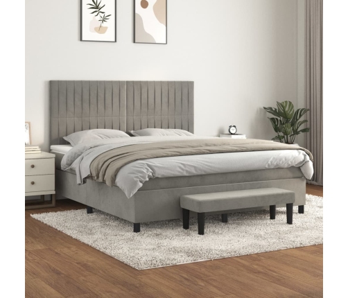 Cama box spring con colchón terciopelo gris claro 160x200 cm