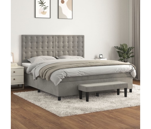 Cama box spring con colchón terciopelo gris claro 160x200 cm