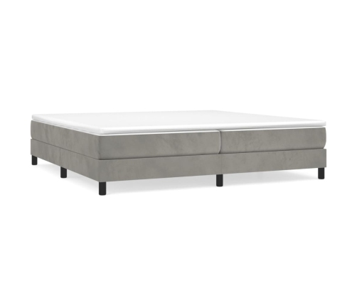 Cama box spring con colchón terciopelo gris claro 200x200 cm