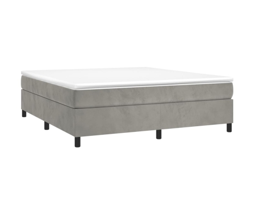 Cama box spring con colchón terciopelo gris claro 160x200 cm