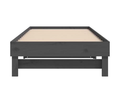 vidaXL Sofá cama extraíble madera maciza de pino gris 2x(100x200) cm