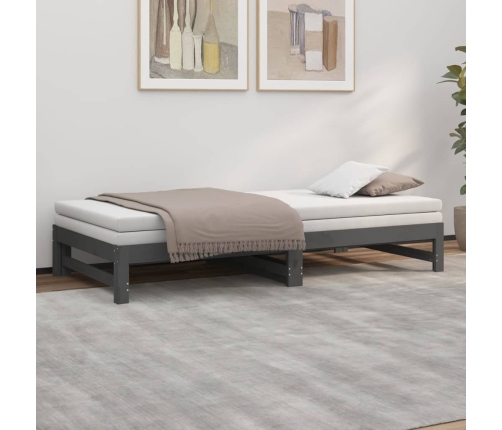 Sofá cama extraíble sin colchón gris 2x(90x200) cm