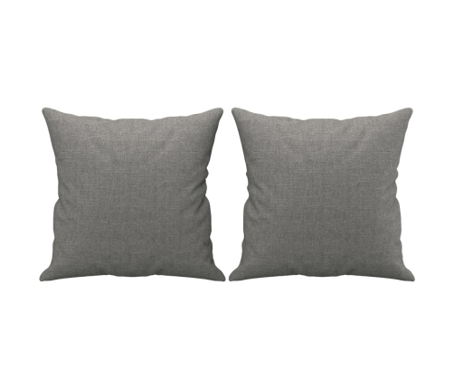 Sofá 2 plazas con almohadas y cojines tela gris oscuro 120 cm