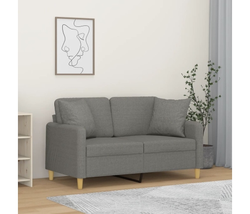 Sofá 2 plazas con almohadas y cojines tela gris oscuro 120 cm