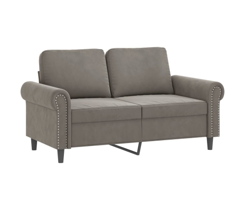 vidaXL Sofá 2 plazas almohadas y cojines terciopelo gris claro 120 cm