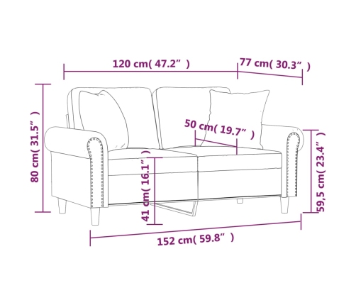 vidaXL Sofá 2 plazas almohadas y cojines terciopelo gris claro 120 cm