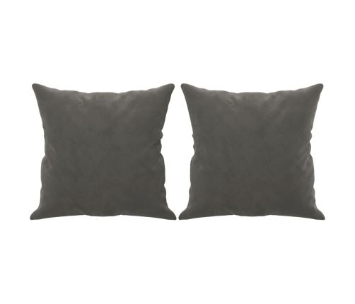 vidaXL Sofá 2 plazas almohadas y cojines terciopelo gris oscuro 120 cm