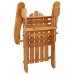 Juego de muebles de jardín Adirondack 3 piezas madera acacia