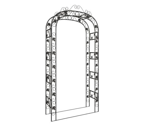 Arco de jardín acero negro 116x45x240 cm