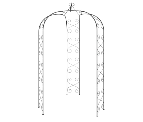 Arco de jardín acero negro Ø180x255 cm