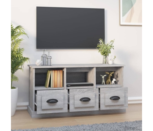 Mueble para TV madera contrachapada gris Sonoma 100x35x50 cm