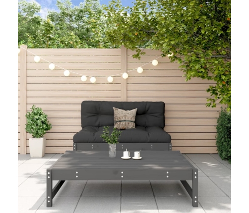 Juego de muebles de jardín 2 pzas y cojines madera maciza gris