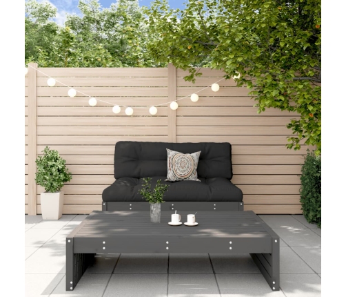 Juego de muebles de jardín 2 piezas madera maciza de pino gris