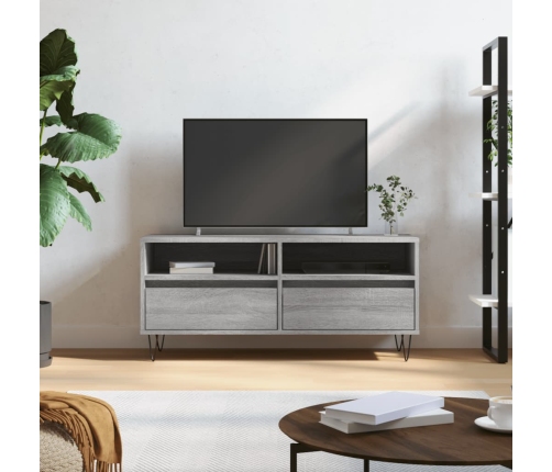 Mueble de TV madera contrachapada gris Sonoma 100x34,5x44,5 cm