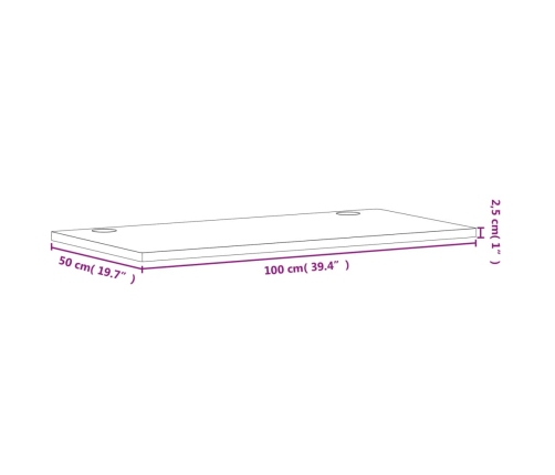 Tablero de escritorio madera maciza de haya 100x50x2,5 cm