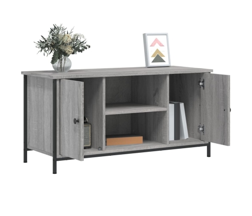 Mueble de TV madera contrachapada gris Sonoma 100x40x50 cm