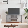 Mueble de TV madera contrachapada gris Sonoma 100x40x50 cm