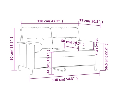 vidaXL Sofá de 2 plazas con cojines tela gris claro 120 cm