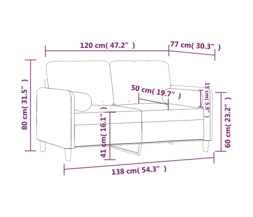 Sofá de 2 plazas con cojines terciopelo gris claro 120 cm