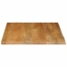 Tablero de mesa borde natural madera maciza mango 60x60x3,8 cm