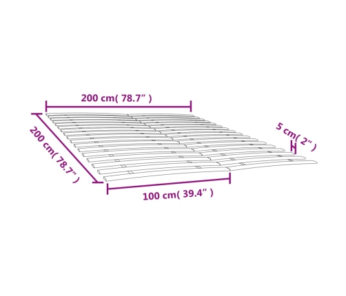 Somieres de láminas con 34 lamas 2 unidades 100x200 cm