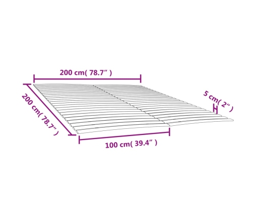 vidaXL Somieres de láminas con 48 lamas 2 unidades 100x200 cm