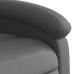 Sillón reclinable elevable cuero auténtico gris