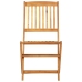 Set de comedor de jardín plegable 3 pzas madera maciza acacia