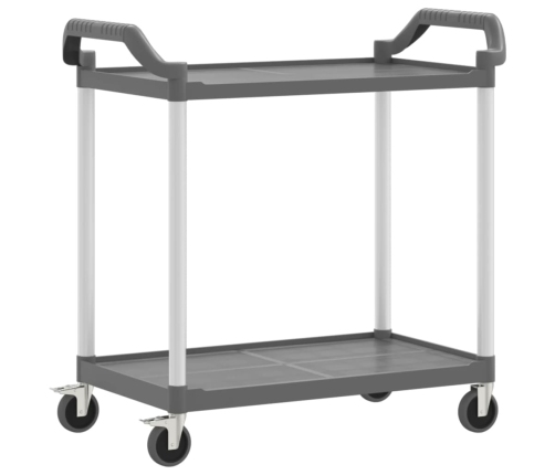 Carrito de 2 niveles aluminio gris 99x50x97 cm