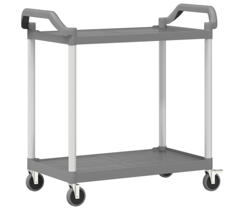 Carrito de 2 niveles aluminio gris 99x50x97 cm