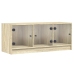 Mueble de TV con puertas de vidrio roble Sonoma 102x37x42 cm