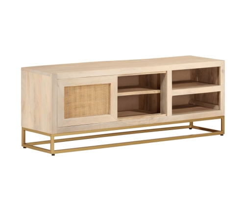 Mueble de TV madera maciza de mango y hierro 110x30x40 cm