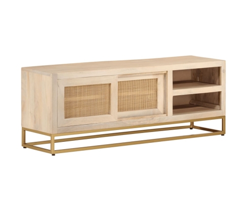 Mueble de TV madera maciza de mango y hierro 110x30x40 cm