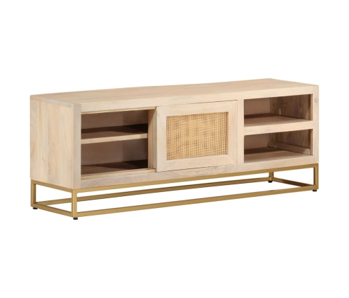 Mueble de TV madera maciza de mango y hierro 110x30x40 cm