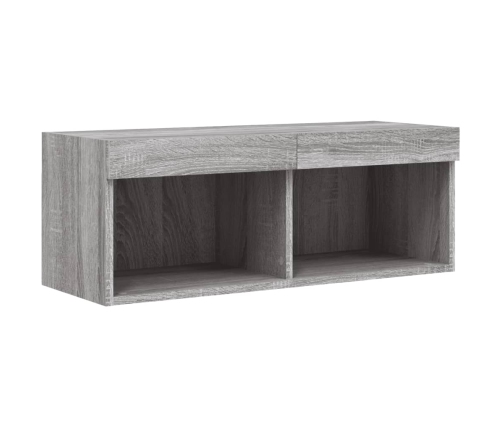 vidaXL Mueble para TV con luces LED gris Sonoma 80x30x30 cm